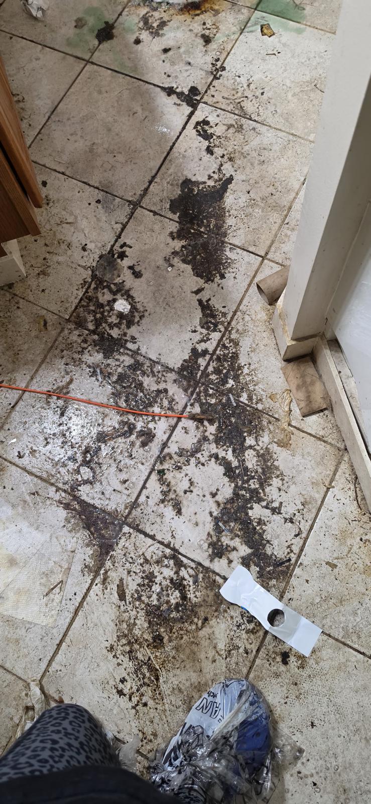 Before cleaning
